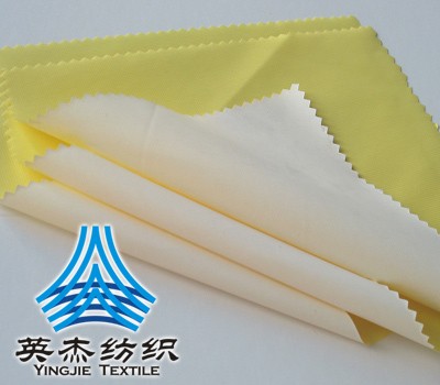 Full-dull Nylon dobby taffeta Fabric